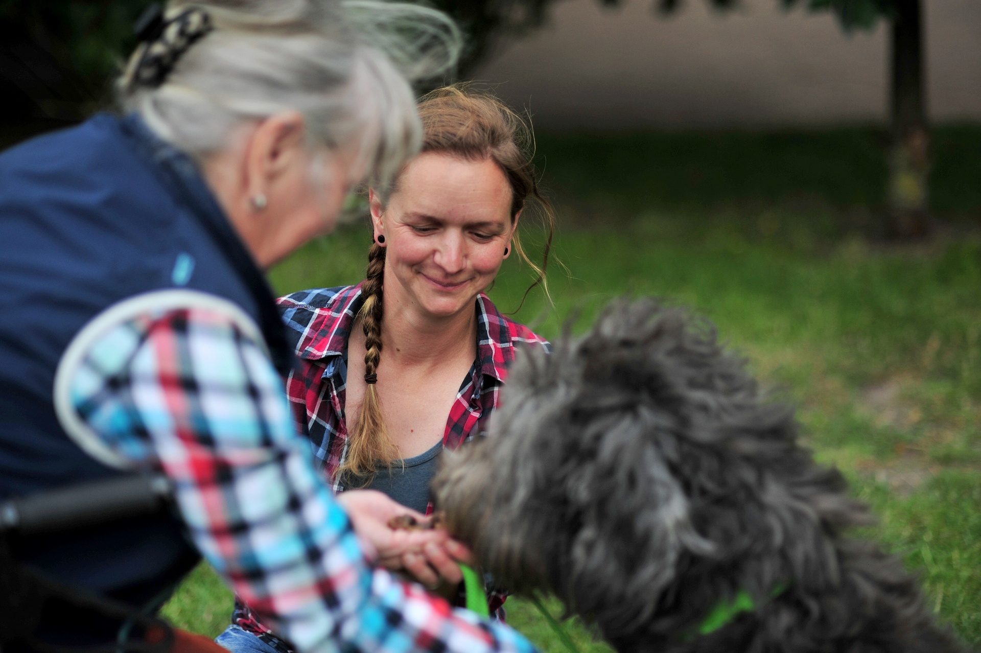 Tiergestützte Intervention mit älteren Menschen