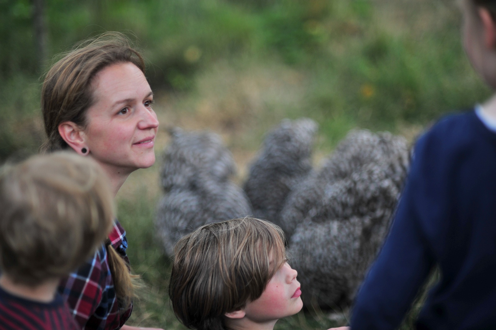 Kinder verbringen in der Gruppe Zeit mit den Hühnern
